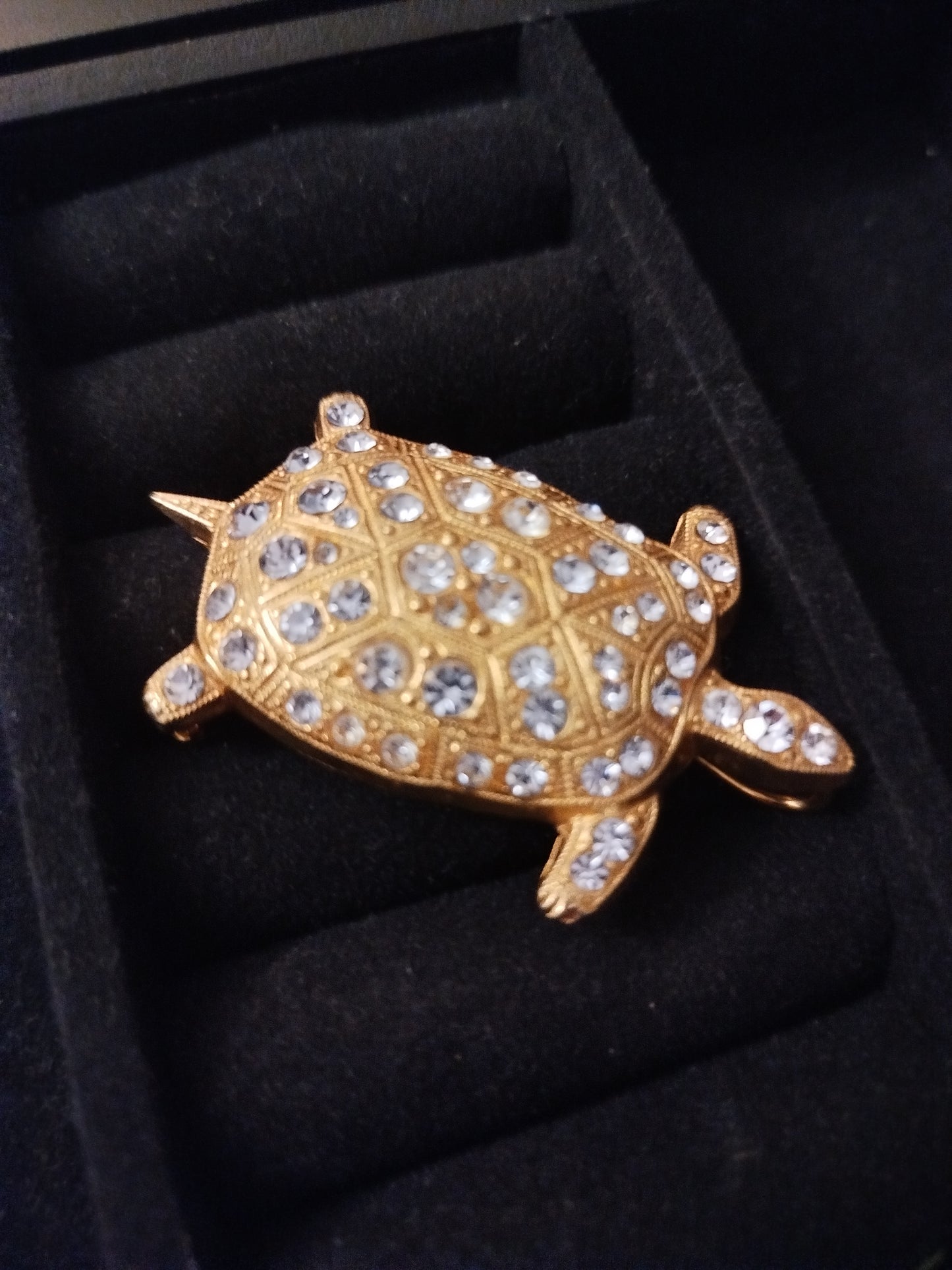 Bijoux Broche tortue